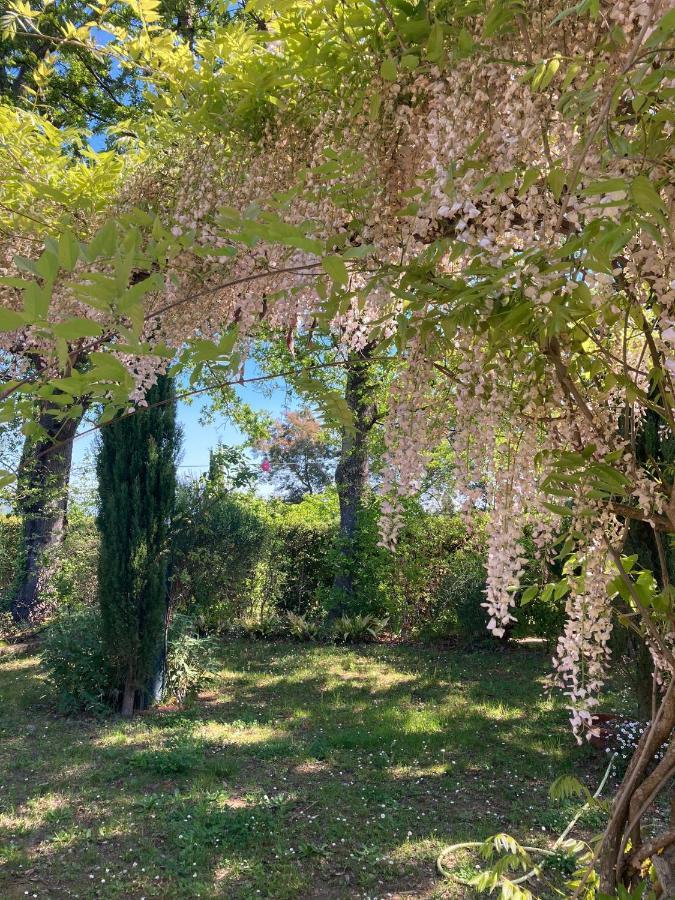 Tenuta Poggio Alla Farnia Fauglia Exteriér fotografie