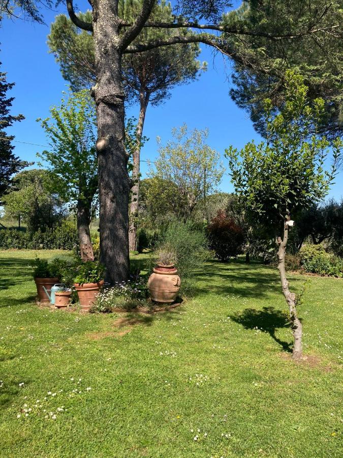 Tenuta Poggio Alla Farnia Fauglia Exteriér fotografie